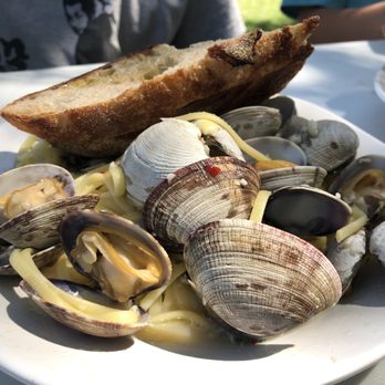 Buck Bay Shellfish Farm - Clam linguine - Seafood Markets Near Me - Olga, Washington Buck Bay Shellfish Farm - Clam linguine - Seafood Markets Near Me - Olga, Washington