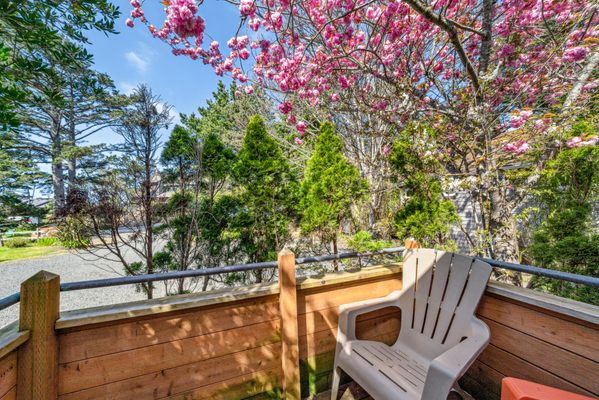 Inn at Manzanita by null