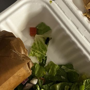 Spitz - Fly in salad in meal. - Mediterranean Near Me - Portland, Oregon