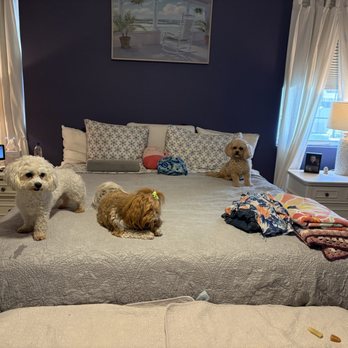 Mrs. AP Cleaning - Bedroom - Home Cleaning Near Me