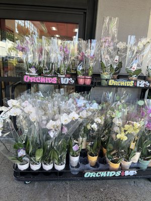 Trader Joe's by null