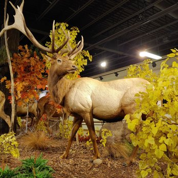 Bass Pro Shop - Outdoor Gear Near Me - Glendale, Arizona