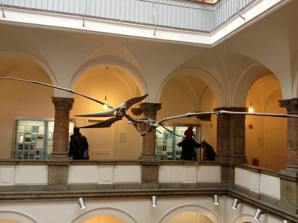 Paläontologisches Museum