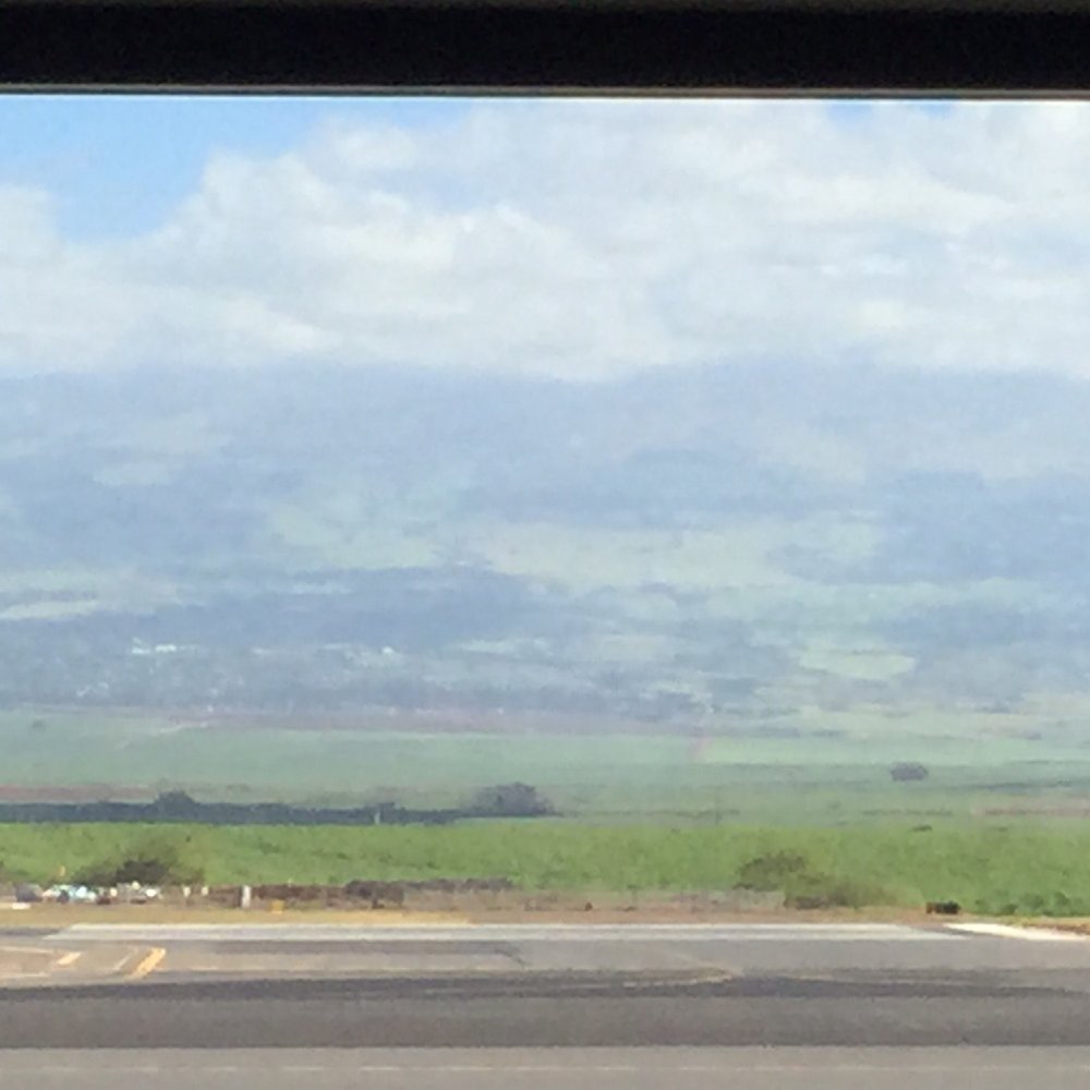Alaska Airlines - Airlines Near Me - Kahului, Hawaii