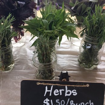 Coastal Roots Farm - Farmers Market Near Me - Encinitas, California Coastal Roots Farm - Farmers Market Near Me - Encinitas, California