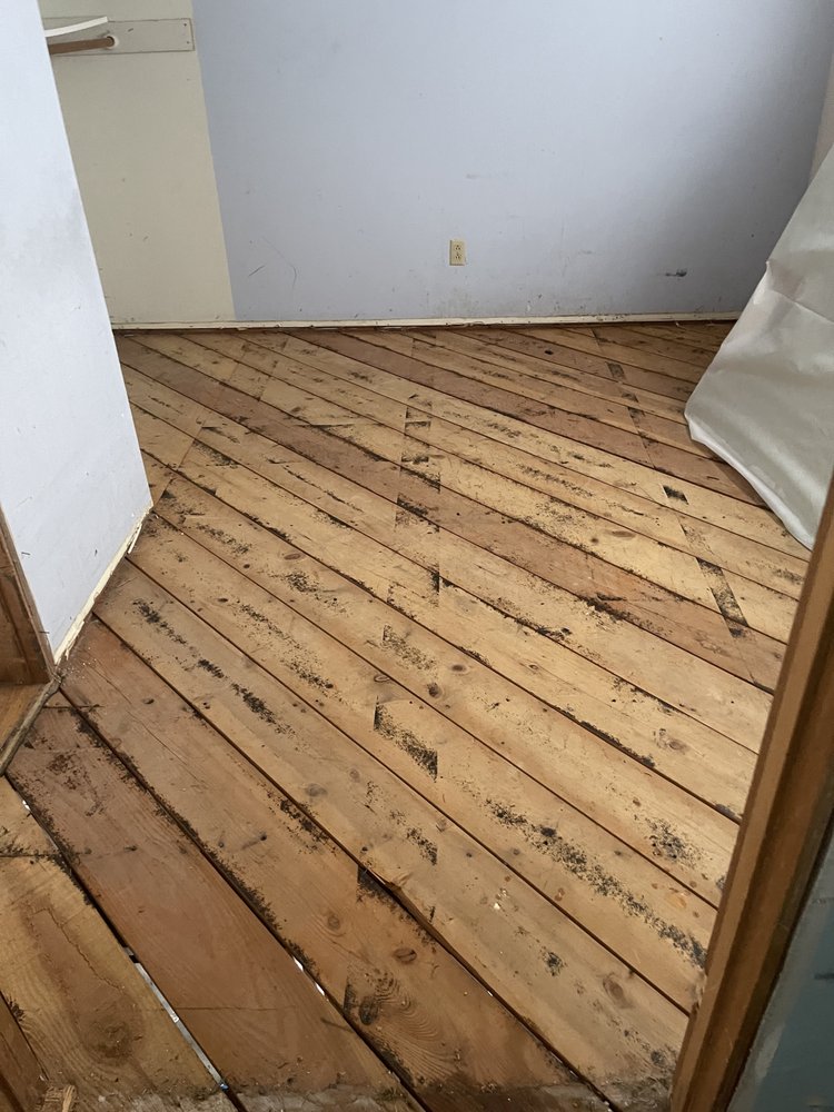 The 10 Best Asbestos Removal in Babbage Island, WA | Service.com.au