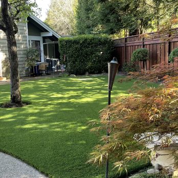 Better Than Real Artificial Grass - Artificial Turf Near Me - San Rafael, California Better Than Real Artificial Grass - Artificial Turf Near Me - San Rafael, California