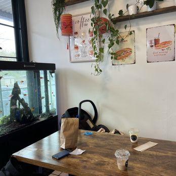 Drip & Sip - Fish tank in the corner - Coffee & Tea Near Me - Tukwila, Washington
