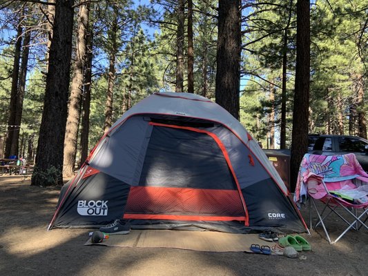 Mammoth Campground by null