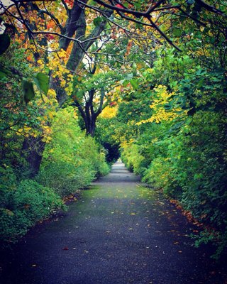 Bispebjerg Cemetery by null