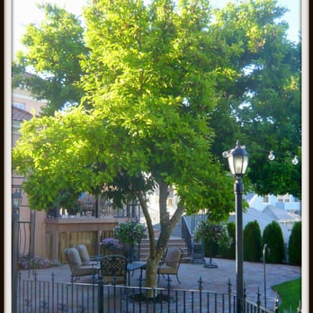 Pendleton House Historic Inn - Outdoor patio. - Hotels Near Me - Pendleton, Oregon Pendleton House Historic Inn - Outdoor patio. - Hotels Near Me - Pendleton, Oregon