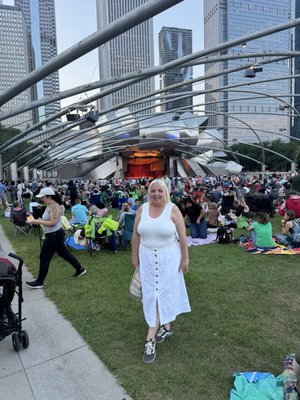 Jay Pritzker Pavilion by null