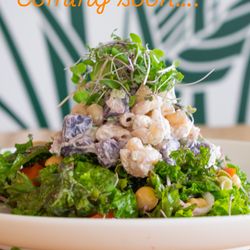 Vegetate - Kale Salad