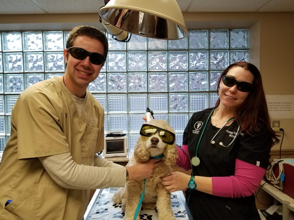PARKWAY VETERINARY CLINIC Updated October 2024 18 Reviews 41395 Wilcox Rd, Plymouth