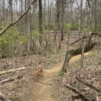 Fort Dickerson Park  - Parks Near Me - Knoxville, Tennessee