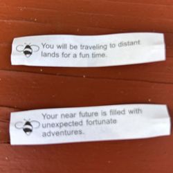 Noodle Express - Great Fortunes