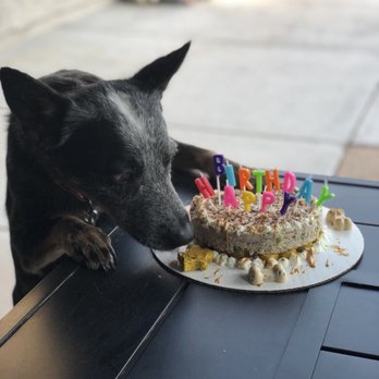 Fido's Kitchen - Pet Stores Near Me - Las Vegas, Nevada