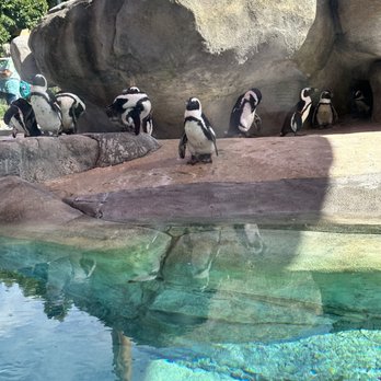 Denver Zoo - Zoos Near Me - Denver, Colorado