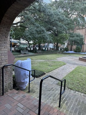 Christ Church Cathedral by null