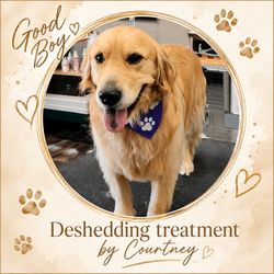 Gentle Paws Grooming - Deshedding Treatment by Gentle Paws Grooming, O'Fallon IL