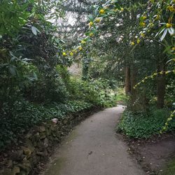The Rookery
