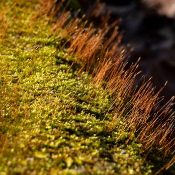 Ubiquitously Mental - Event Photography Near Me Ubiquitously Mental - Event Photography Near Me