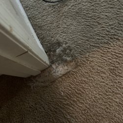 Fiber Care Carpet Cleaning - Before photo