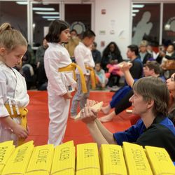 Master Method Karate