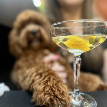 Torchio Pasta Bar - Signature martini - Italian Near Me - Chicago, Illinois Torchio Pasta Bar - Signature martini - Italian Near Me - Chicago, Illinois