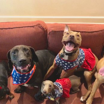 Shelby’s Sitter Services - Pet Sitting Near Me Shelby’s Sitter Services - Pet Sitting Near Me