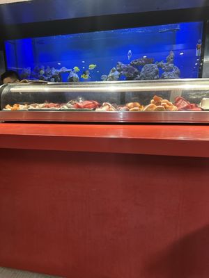 Akashi Japanese Restaurant by null