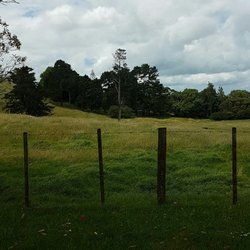 Mount Wellington Domain