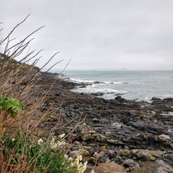 Mousehole