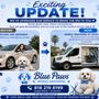 Photo of Blue Paws