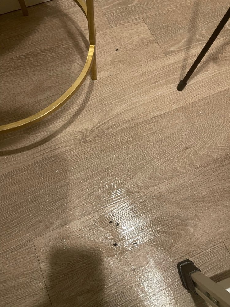 RIVULET APARTMENTS Updated October 2024 82 Photos & 11 Reviews