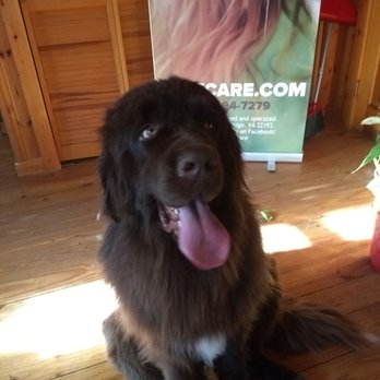 Kaiser Pet Care - #kaiserpetcare #dog #grooming #woodbridge #manassas - Pet Groomers Near Me Kaiser Pet Care - #kaiserpetcare #dog #grooming #woodbridge #manassas - Pet Groomers Near Me
