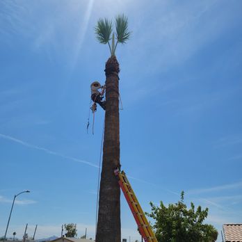 Marina's Landscaping - Landscaping Near Me Marina's Landscaping - Landscaping Near Me