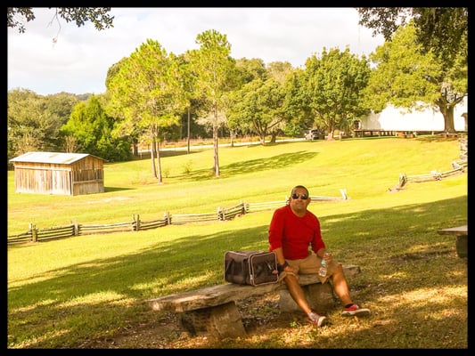 Pioneer Florida Museum & Village by null