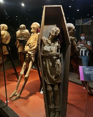Museum of the Mummies of Guanajuato by null