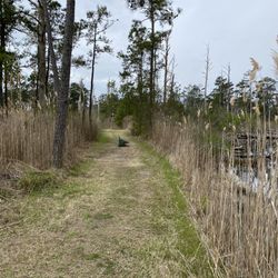 Island Nature Trail