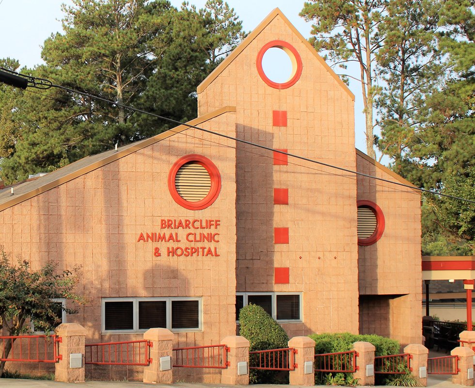 vca morningside animal hospital