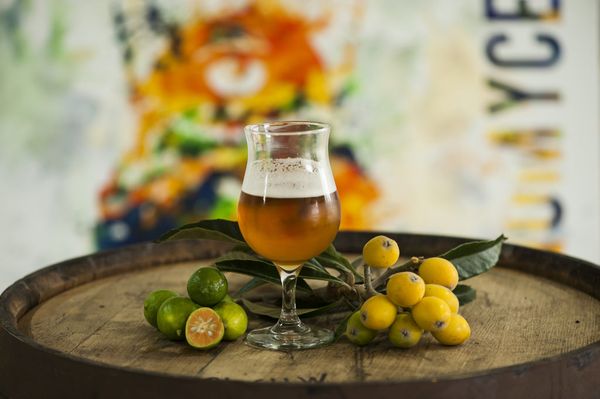California Wild Ales by null