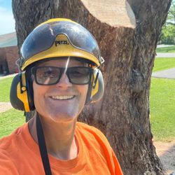 Hamby Tree Experts