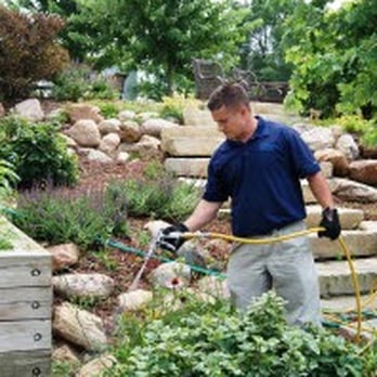 Springer Pest Solutions - Pest Control Near Me - Cedar Rapids, Iowa Springer Pest Solutions - Pest Control Near Me - Cedar Rapids, Iowa
