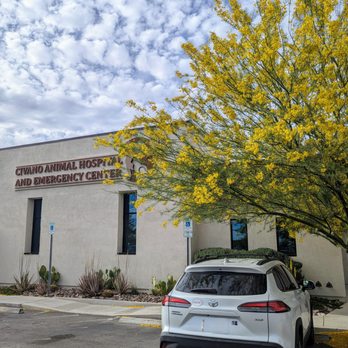 VCA Civano Animal Hospital and Emergency Center VCA Civano Animal Hospital and Emergency Center