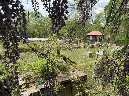 Sewanee: The University Of The South by null
