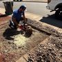 Middleton’s Landscaping