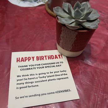 Zen Astoria - Birthday plant gifted to my mom from the restaurant (super sweet) - Chinese Near Me - Queens, New York