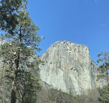 Scenic Wonders Lodging, Cabins and Rentals for Yosemite by null