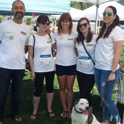 Lifetime Veterinary Clinic - Staff at Lifetime Pet Care Practice often participate in animal charity events, such as Paws For a Cause and Vets In Action.